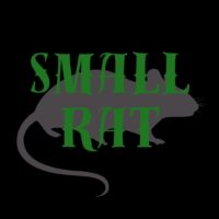 Live Feeder Rat - Small