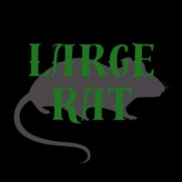 Live Feeder Rat - Large