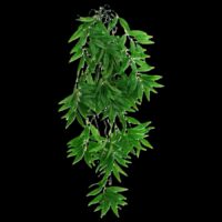 Komodo Bamboo Hanging Plant