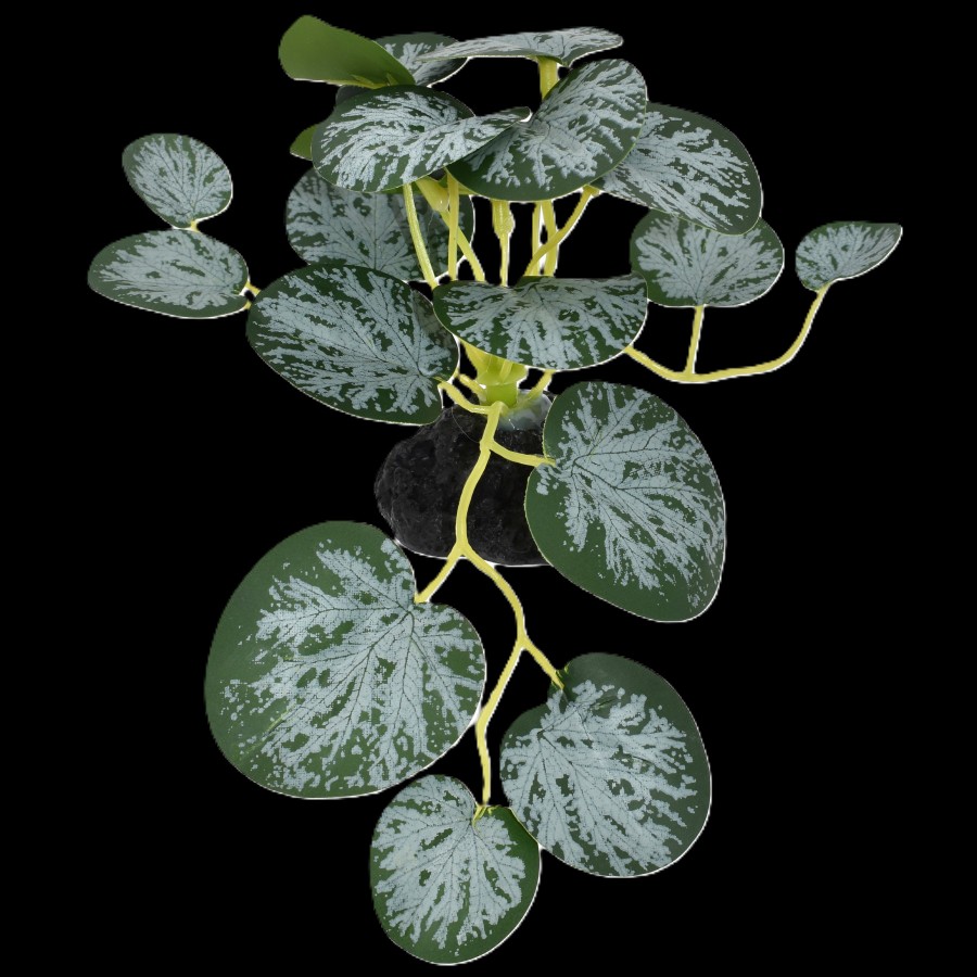 Komodo Standing String of Hearts 3.5in