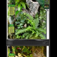 Zoo Med 4 Gallon Paludarium Terrarium & Aquarium