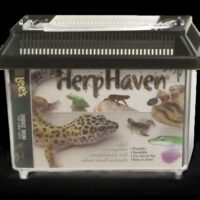 Lee's Herphaven Rectangle Reptile Carrier 7.12In X 5.5 in, Mini