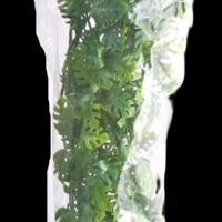 Zoo Med Naturalistic Bush Plant Amazon Phyllo - Large