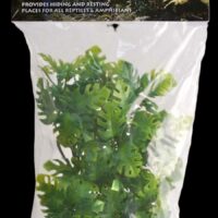 Zoomed Amazonian Phyllo - Small