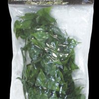 Zoo Med Natural Bush Mexican Phyllo - Small